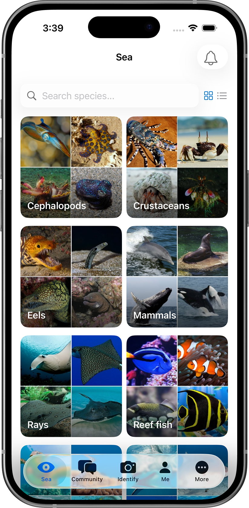 iSea species encyclopedia