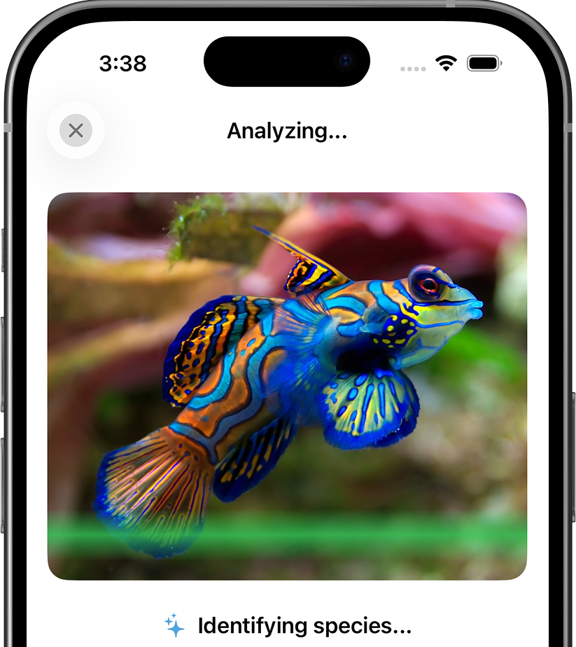 iSea's Gemini-powered AI analyzing a photo of a mandarinfish