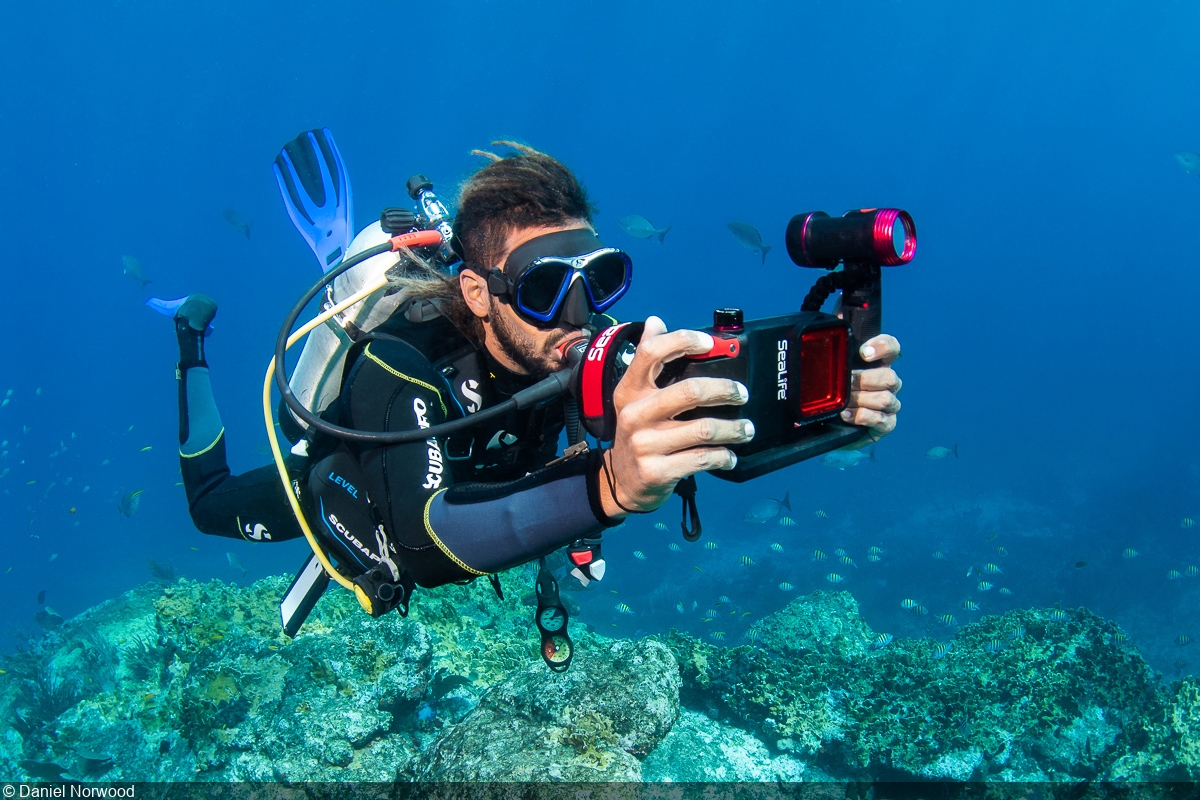 Diver photographing marine life on a coral reef