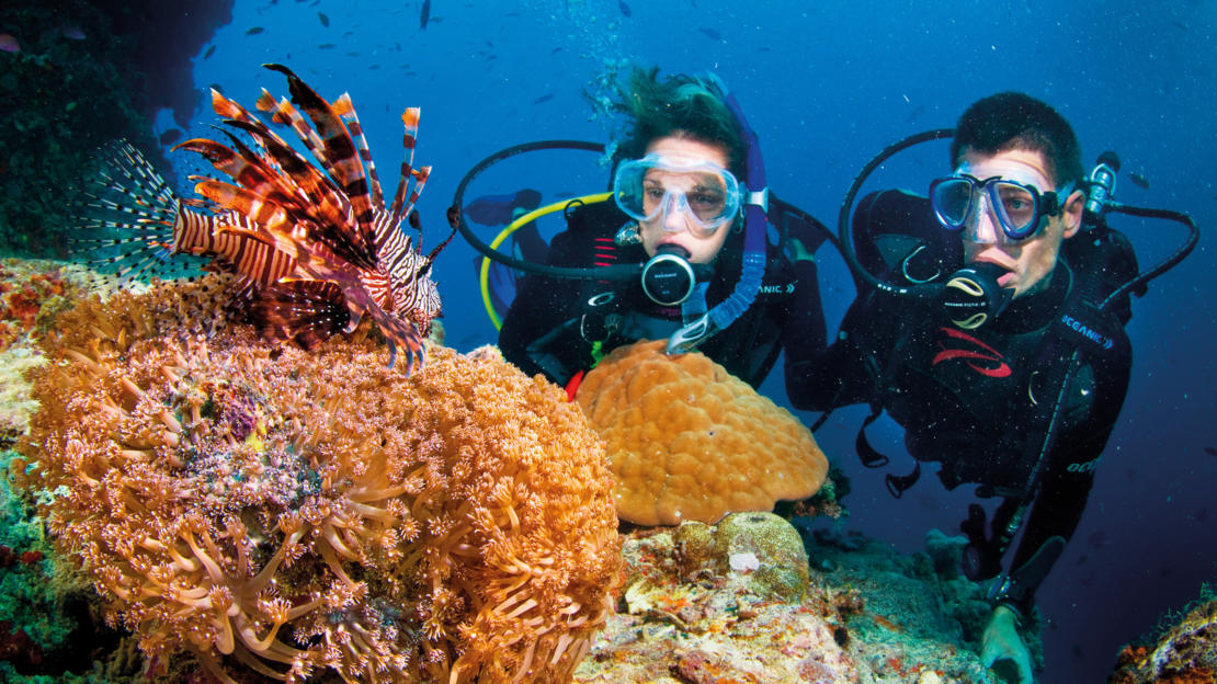 Diver hovering above a coral reef